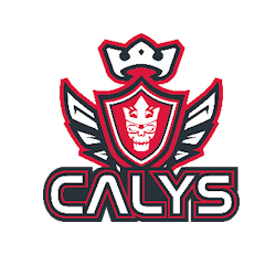 RF CALYS